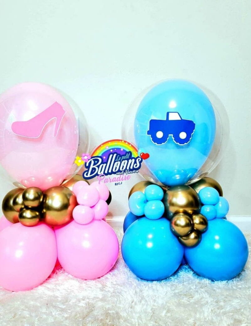 Gender Reveal Centerprise